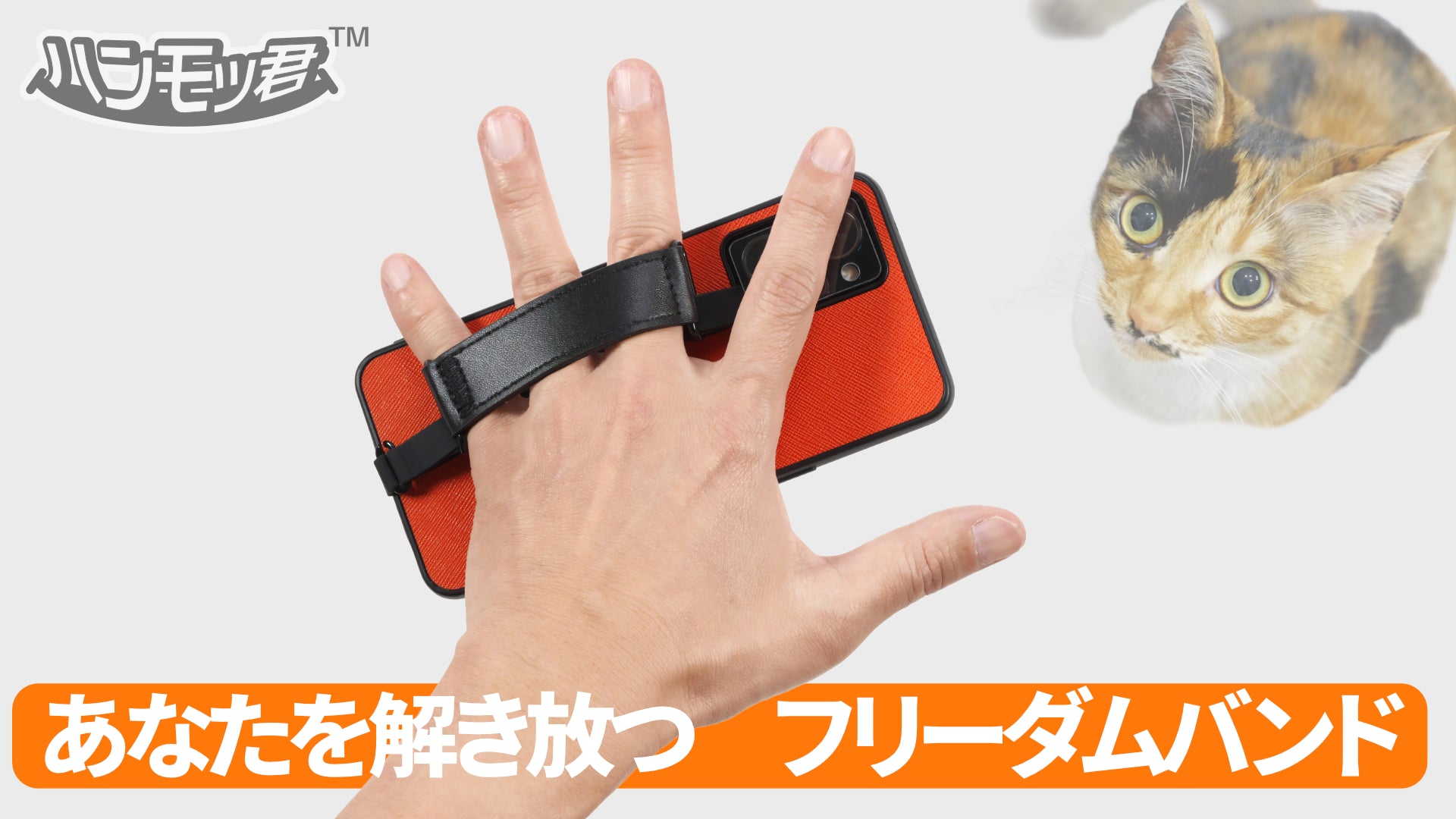 動画を読み込む: hammock'n movie